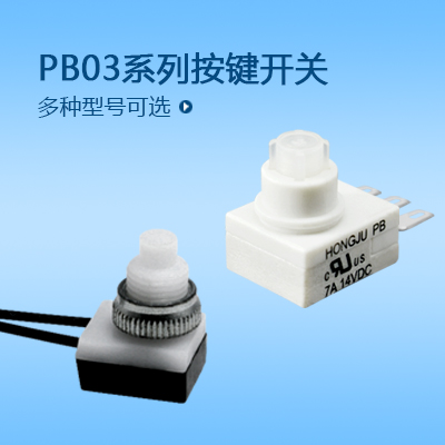 按鍵開(kāi)關(guān)PB03系列