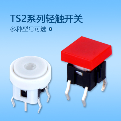 帶燈輕觸開(kāi)關(guān)TS2系列