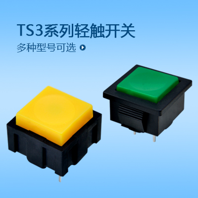 帶燈輕觸開(kāi)關(guān)TS3系列