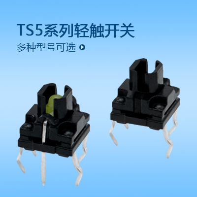 帶燈輕觸開(kāi)關(guān)TS5系列